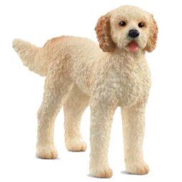 Schleich - SH GOLDENDOODLE