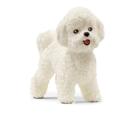 SCHLEICH - CANE BICHON FRISE'