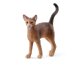 SCHLEICH - GATTO ABISSINO