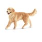 SCHLEICH - GOLDEN RETRIEVER FEMMINA