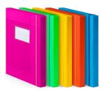 CARTELLA PROGETTO ELASTICO COLORI ASSORTITI