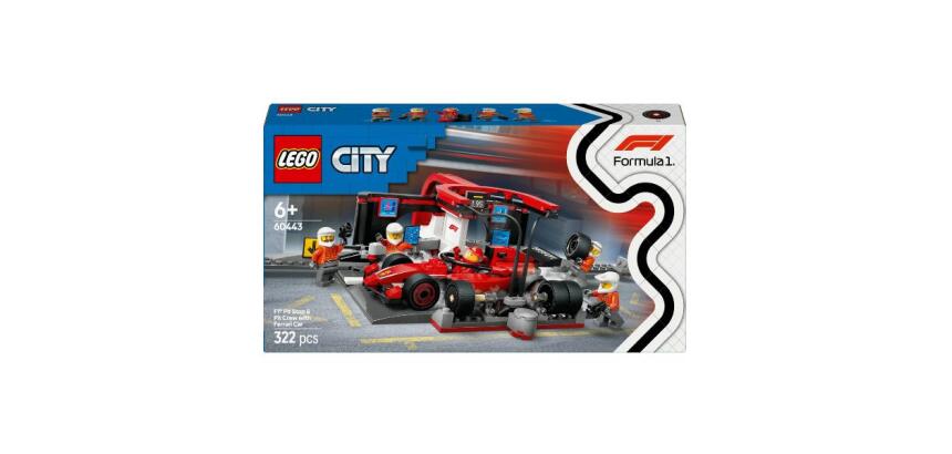 PITSTOP E MECCANICI CON MONOPOSTO FERRARI F1®