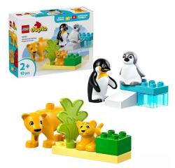FAMIGLIE DI ANIMALI: PINGUINI E LEONI