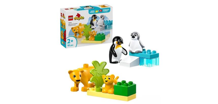 FAMIGLIE DI ANIMALI: PINGUINI E LEONI