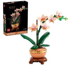 Mini-orchidea