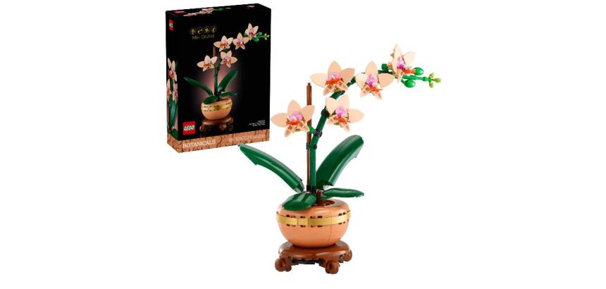 MINI-ORCHIDEA