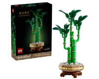 BAMBU' DEL BUON AUSPICIO
