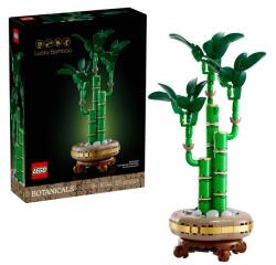 BAMBU' DEL BUON AUSPICIO