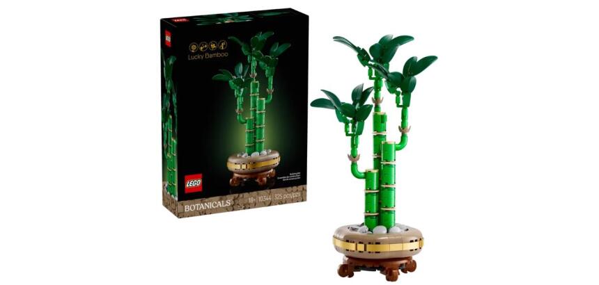 BAMBU' DEL BUON AUSPICIO