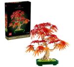 Bonsai di acero rosso giapponese