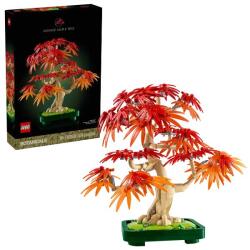 Bonsai di acero rosso giapponese