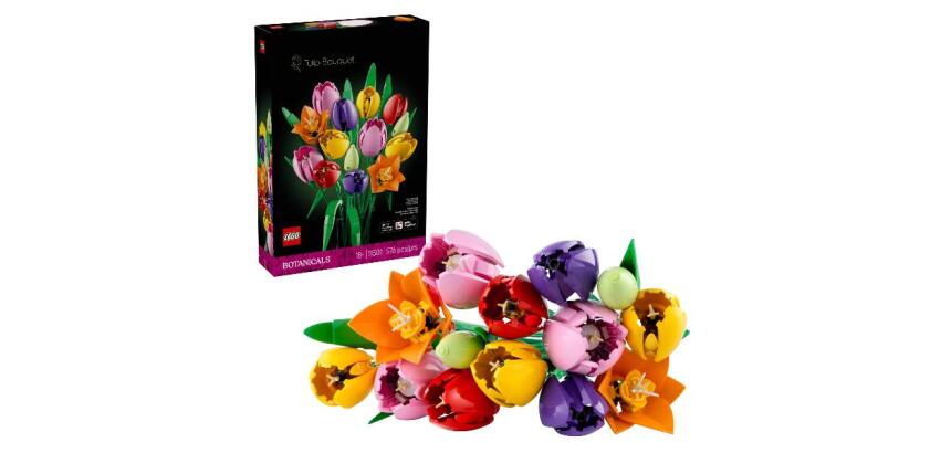 Bouquet di tulipani