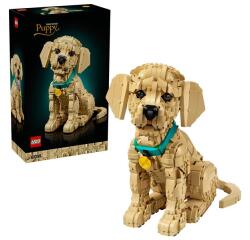 CUCCIOLO DI GOLDEN RETRIEVER