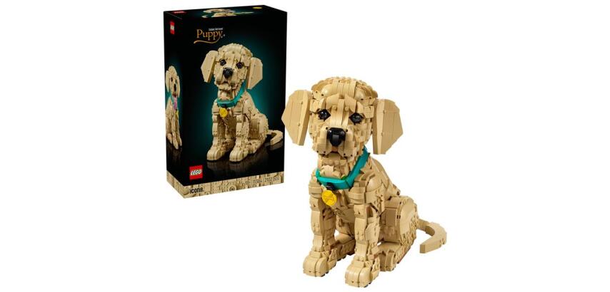 CUCCIOLO DI GOLDEN RETRIEVER