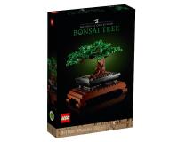ALBERO BONSAI