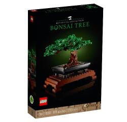 Albero Bonsai