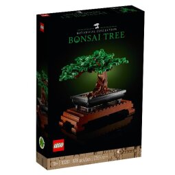 Albero Bonsai