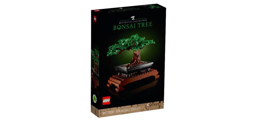 Albero Bonsai