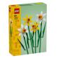 NARCISI LEGO®