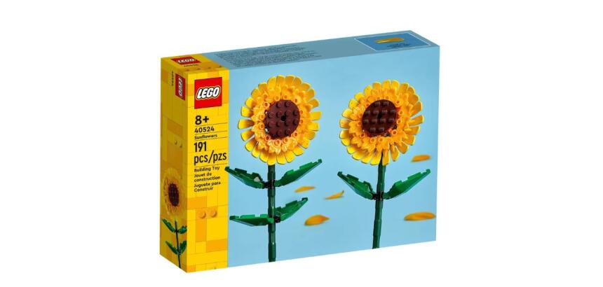GIRASOLI
