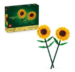 Girasoli