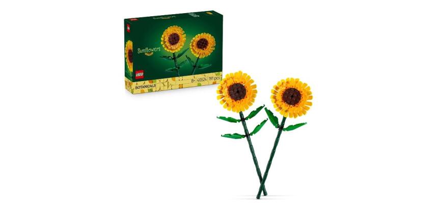 Girasoli