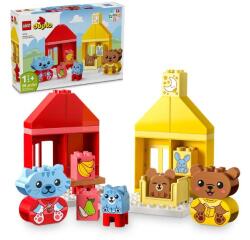 Attività quotidiane: mangiare e andare a letto