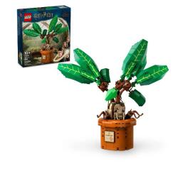 MANDRAGOLA