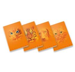 CF10 QUADERNO MONOCROMO ORANGE A4 100GR RIGATURA 5M FF. 38+R COVER PLASTIFICA OPACA+SERIGRAFIA LUCIDA SPESSORATA FANTASIE ASSORTITE