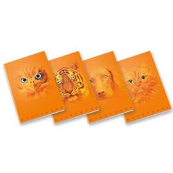 CF10 QUADERNO MONOCROMO ORANGE A4 100GR RIGATURA 5M FF. 38+R COVER PLASTIFICA OPACA+SERIGRAFIA LUCIDA SPESSORATA FANTASIE ASSORTITE