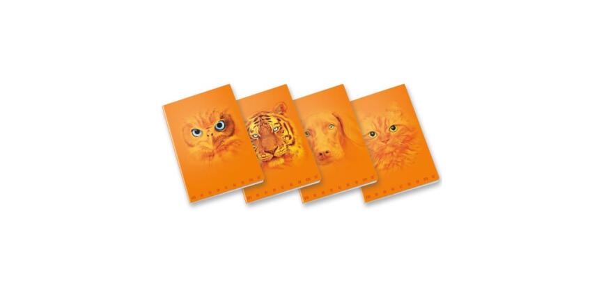 CF10 QUADERNO MONOCROMO ORANGE A4 100GR RIGATURA 5M FF. 38+R COVER PLASTIFICA OPACA+SERIGRAFIA LUCIDA SPESSORATA FANTASIE ASSORTITE