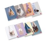 CF10 QUADERNI DOLCI CUCCIOLI A4 80GR RIGATURA 1 RIGO FF. 20+R 8 FANTASIE ASSORTITE