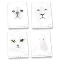 CF10 MAXIMONOCROMO WHITE5M A4 100g