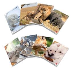 Maxiquaderno Dolci Cuccioli - A4 - 4 mm - 42 fogli - 80 gr - Pigna