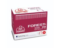 CF5000 PUNTI FOREST 110