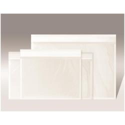 Willchip 240180100N busta C5 (162 x 229 mm) 100 pz