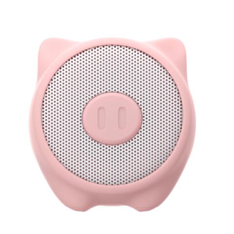 WSPIG - 3W Wireless Speaker Summer