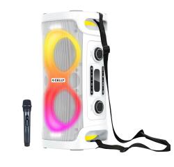 BOOMBOX45 - Wireless speaker with wireless microphone