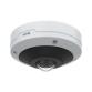 Axis M4317-PLVE Cupola Telecamera di sicurezza IP Interno 2160 x 2160 Pixel Soffitto/muro