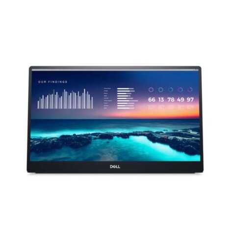 1ELL 14 PORTABLE MONITOR - P1424H - 35.6CM (14  )