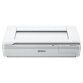 EPSON WORKFORCE DS-50000  SCANNER A COLORI A PIANO FISSO  A3