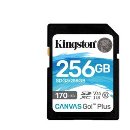 Kingston Canvas Go! Plus - flash memory card - 256 GB - SDXC UHS-I