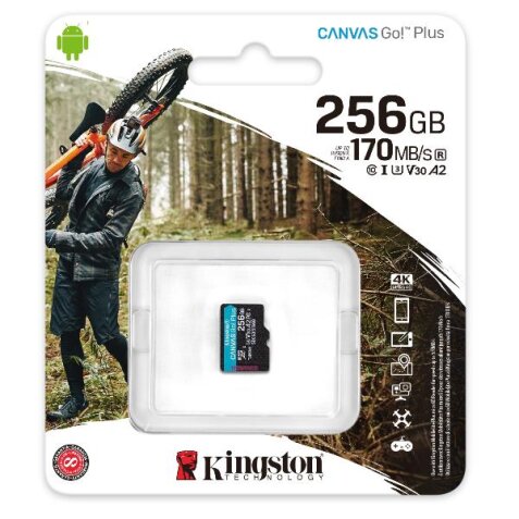 256GB MICROSDXC CANVAS GO PLUS 170R A2 U3 V30 SINGLE PACK W/O ADP