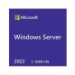 WINDOWS SERVER 2022 CAL (1 USER)