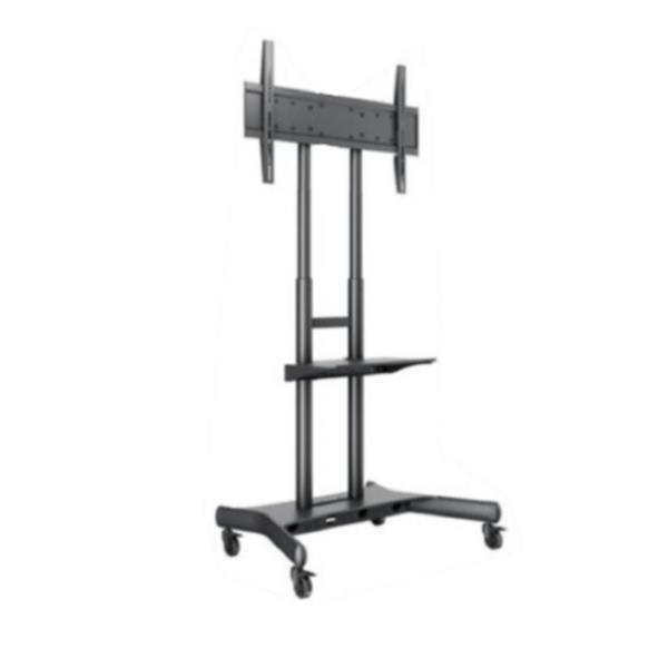 CARRELLO EDU 800 600 CON MENSOLA