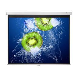 Optoma Panoview Pull Down Manual DS-3100PMG+ - projection screen - 100" (254 cm)