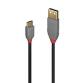 Cavo USB 2.0 Tipo A a C Anthra Line, 2m