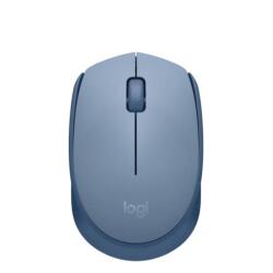 Logitech M171 - mouse - 2.4 GHz - blue/grey