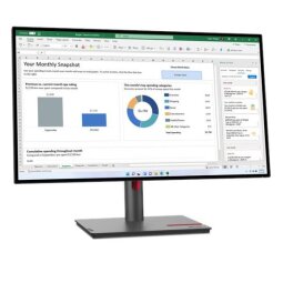 Lenovo ThinkVision P27h-30 - LED monitor - QHD - 27"