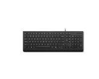 Lenovo Teclado con cable esencial (negro)